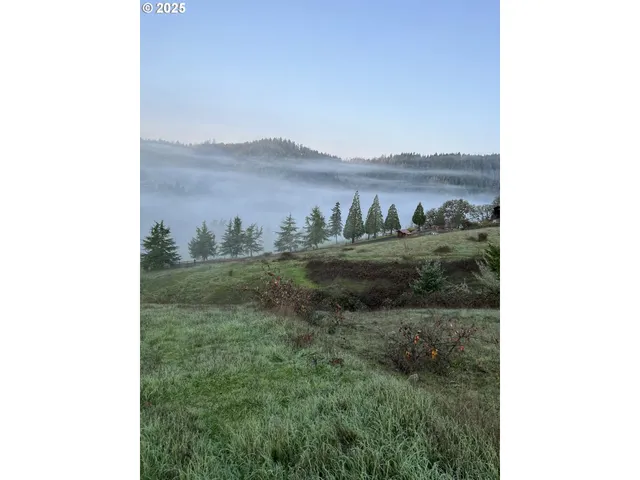 $495,000 | 222 East Willis Creek Road, Winston, OR 97496