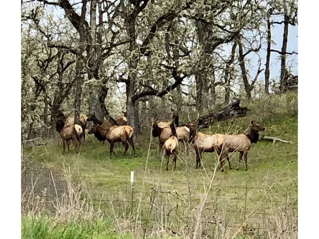 $495,000 | 222 East Willis Creek Road, Winston, OR 97496