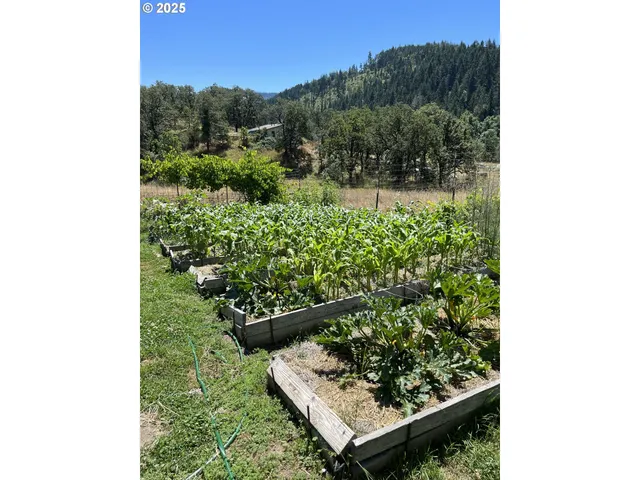 $495,000 | 222 East Willis Creek Road, Winston, OR 97496