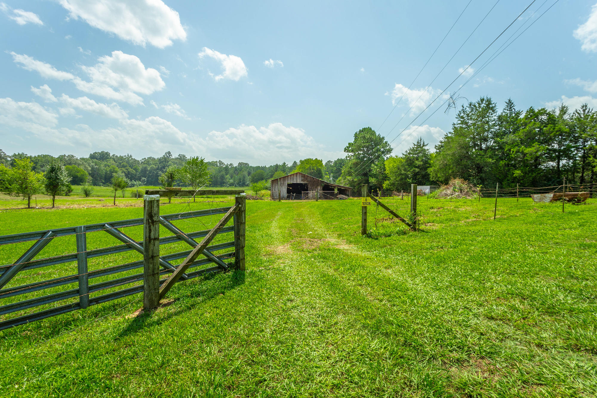 368 York Road Ocoee, TN 37361 - Photo 7 of 85 368 York Rd. EX HD-19