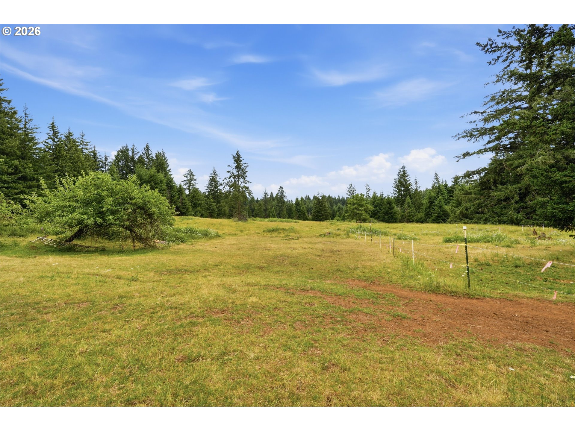 27287 South Hillockburn Road Estacada, OR 97023 - Photo 43 of 48