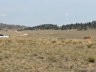 1186 Mesa Road Hartsel, CO 80449 - Photo 3 of 13 Gallery Image 3