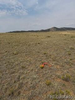 1186 Mesa Road Hartsel, CO 80449 - Photo 5 of 13 Gallery Image 5