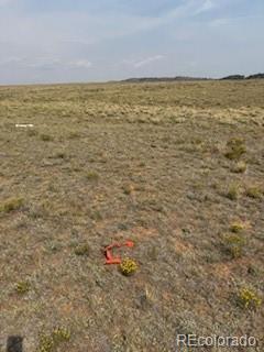 1186 Mesa Road Hartsel, CO 80449 - Photo 6 of 13 Gallery Image 6