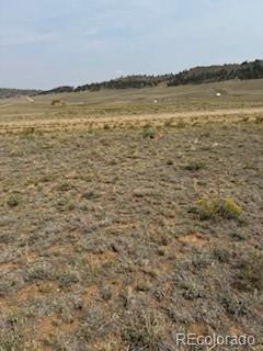 1186 Mesa Road Hartsel, CO 80449 - Photo 8 of 13 Gallery Image 8