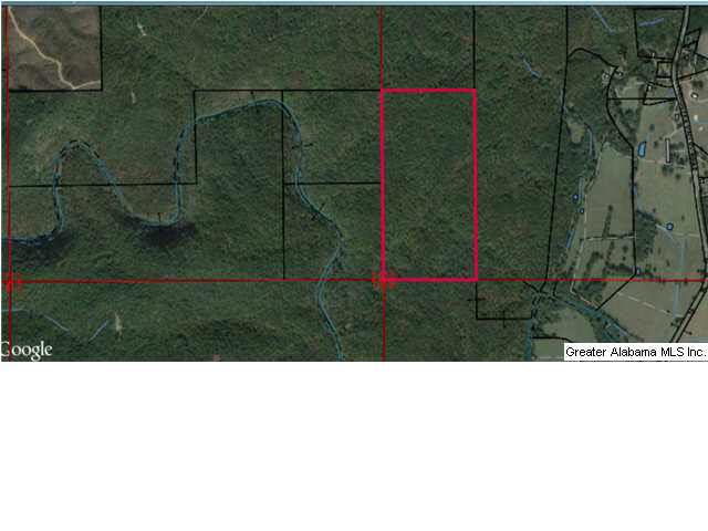 29 Highway, Unit 80 Weogufka, AL 35183 - Photo 1 of 2
