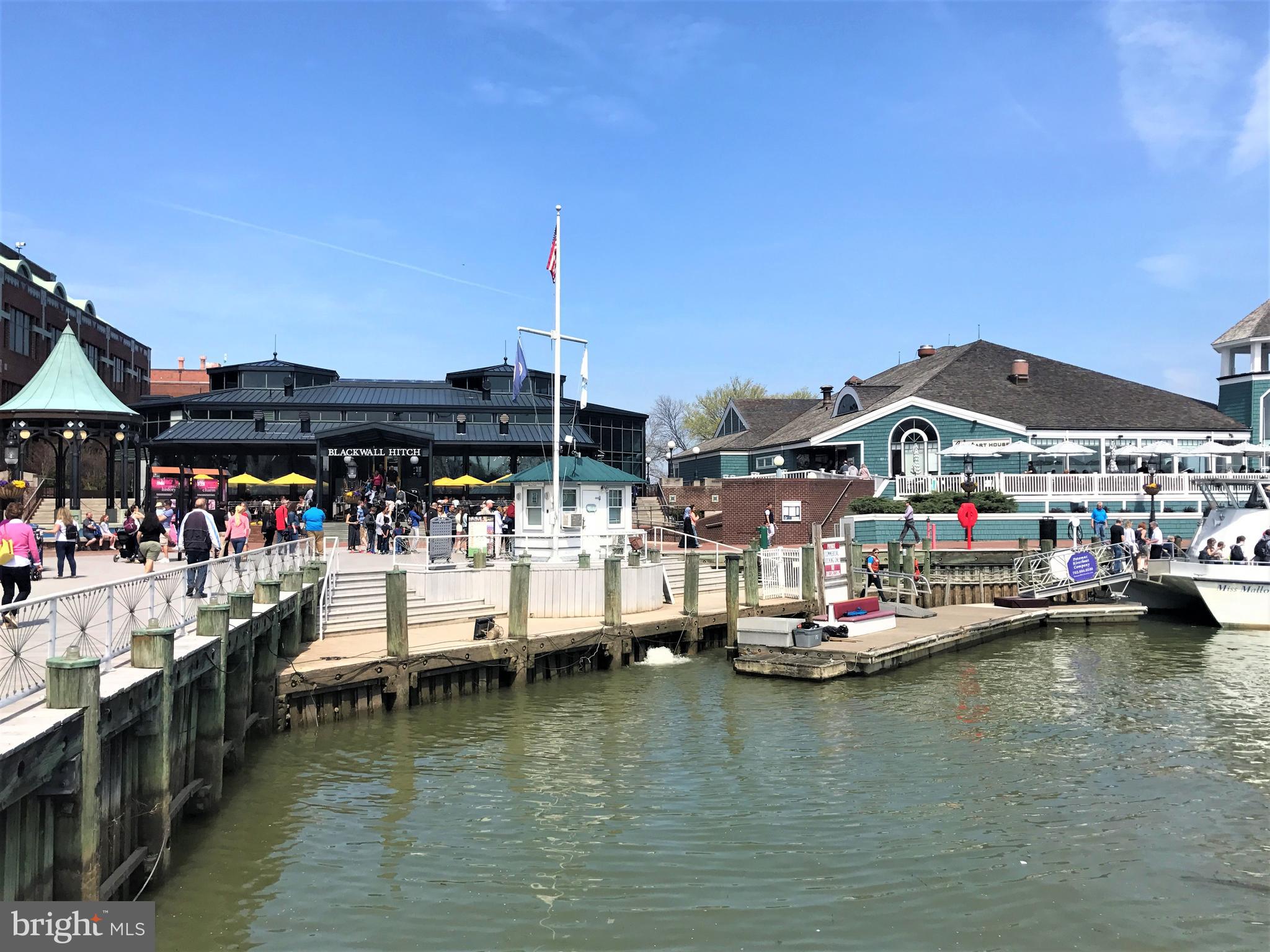 8504 Stable Drive Alexandria, VA 22308 - Photo 48 of 53