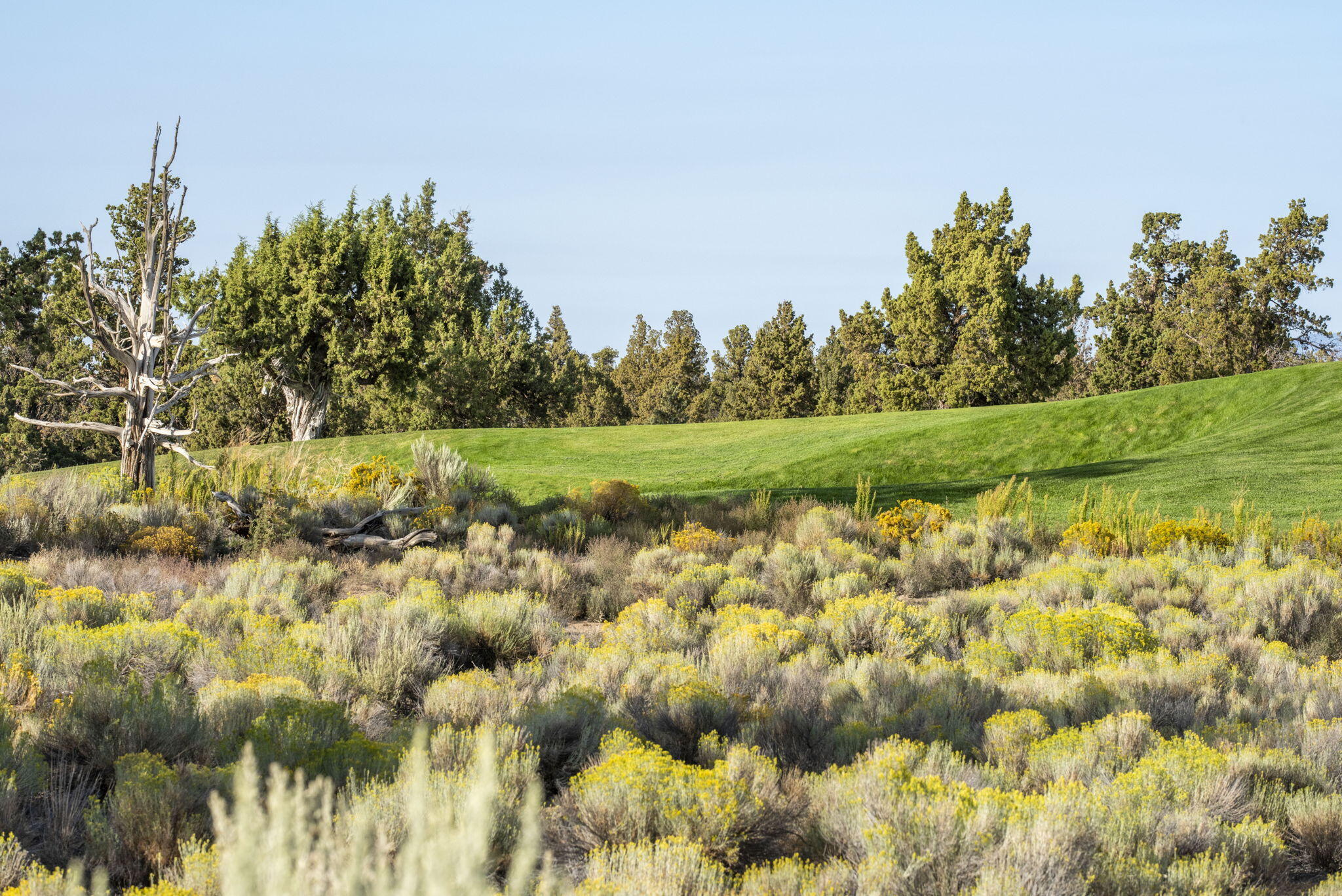 23062 Canyon View Loop Bend, OR 97701 - Photo 60 of 64 69-web-or-mls-DSC_2260