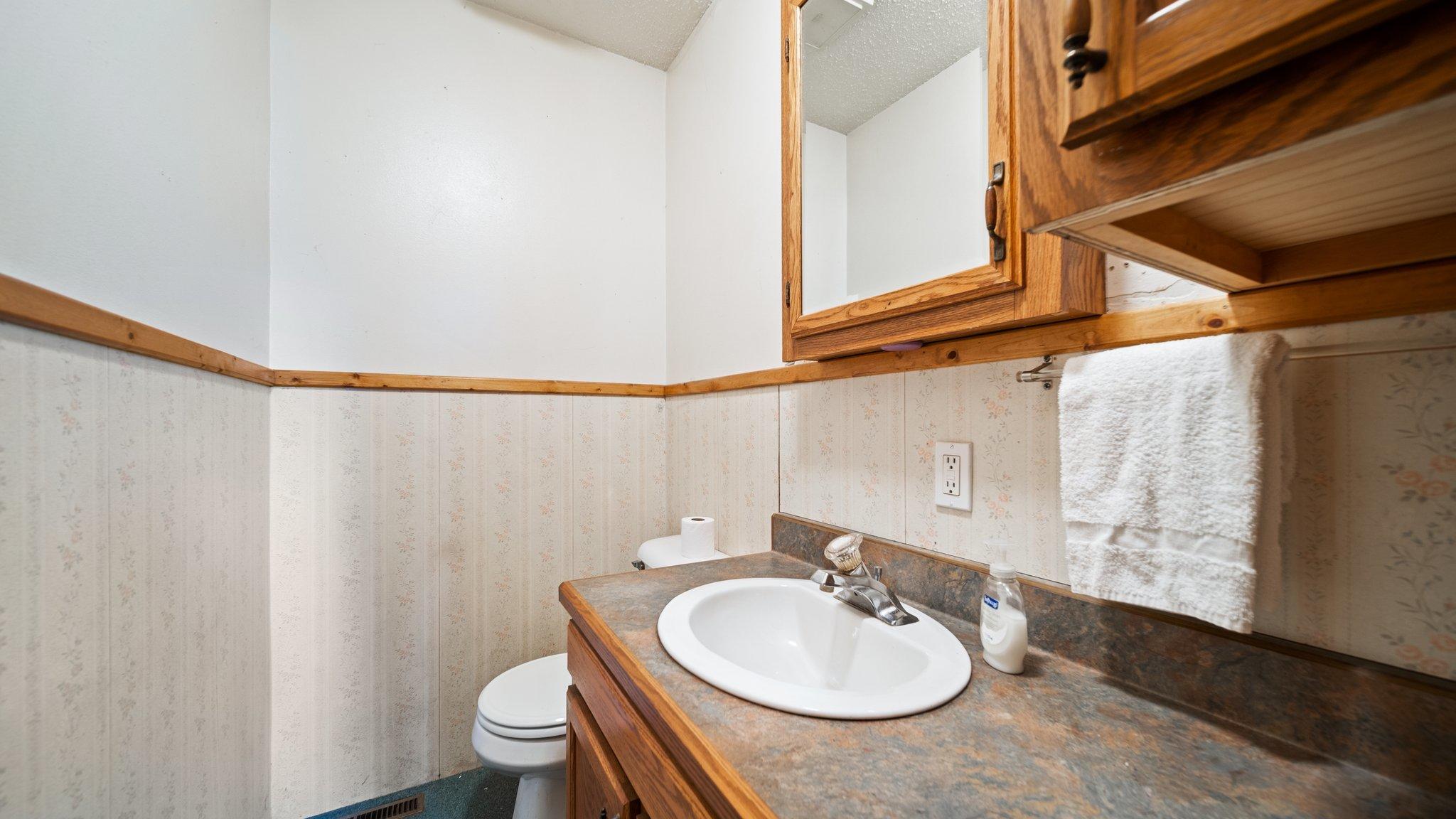 4017 East Pakes Road Stanton, MI 48888 - Photo 17 of 27 20-web-or-mls-DSC03220