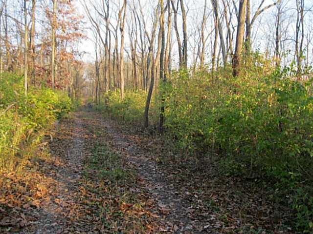 2438 Troy Road Delaware, OH 43015 - Photo 2 of 6