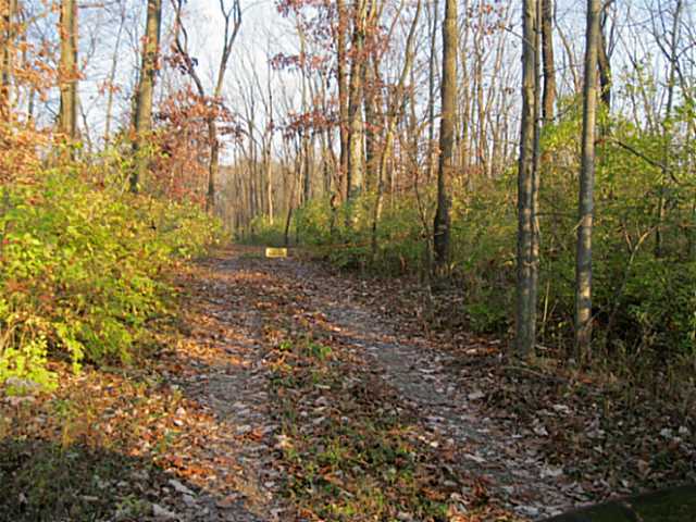 2438 Troy Road Delaware, OH 43015 - Photo 5 of 6