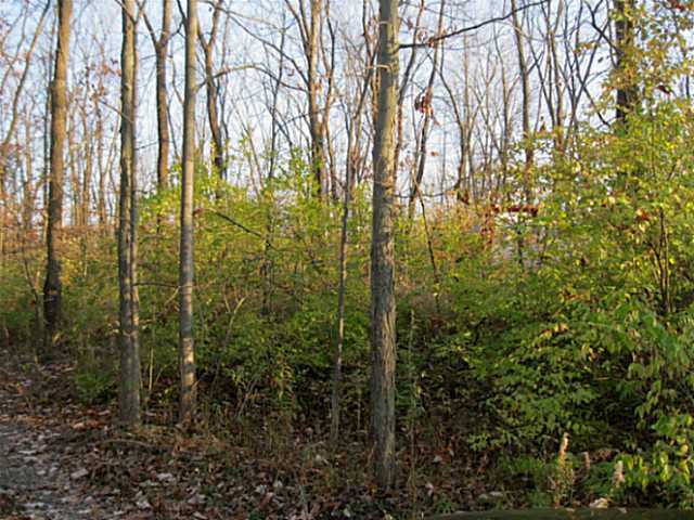 2438 Troy Road Delaware, OH 43015 - Photo 6 of 6