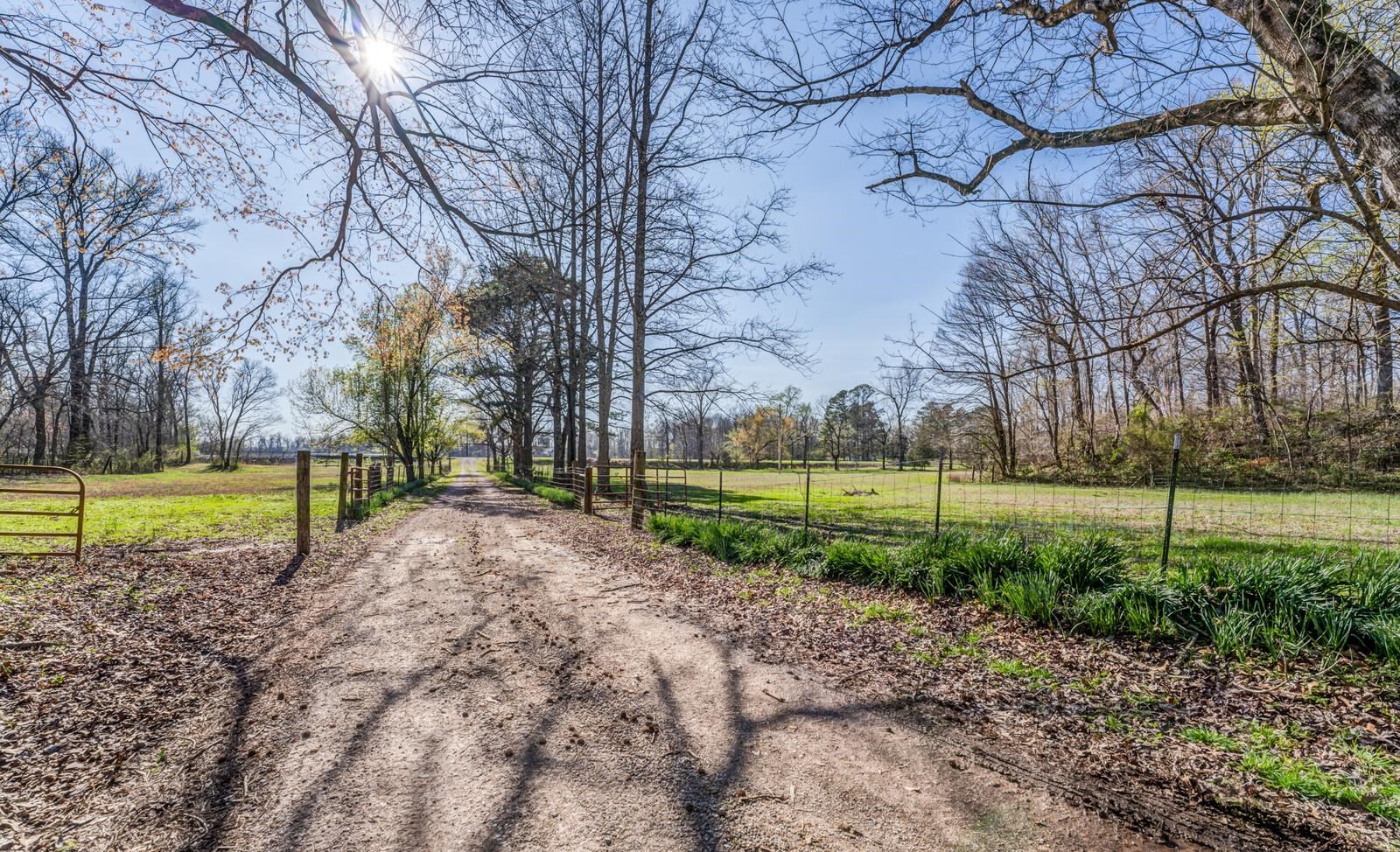5375 Lagrange Road Somerville, TN 38068 - Photo 4 of 35 Gallery Image 4