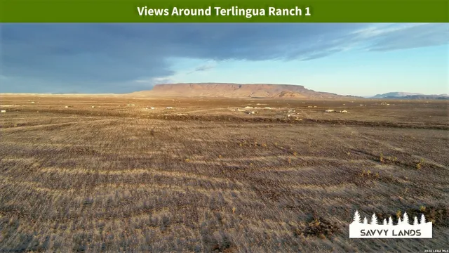 $16,999 | 0 Willow Canyon Road, Alpine, TX 79830