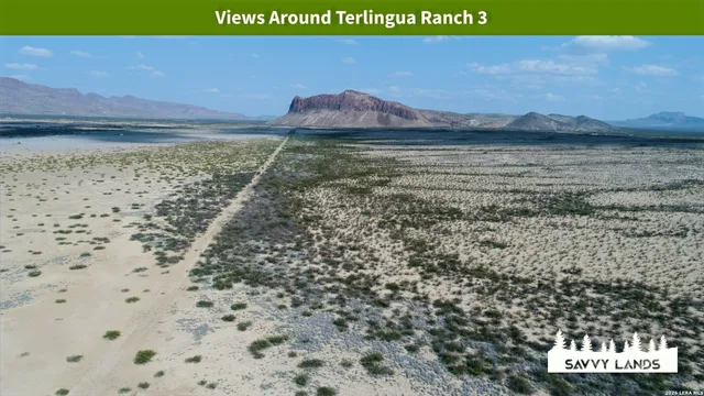 $16,999 | 0 Willow Canyon Road, Alpine, TX 79830