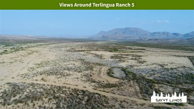 a view of an outdoor space and yard