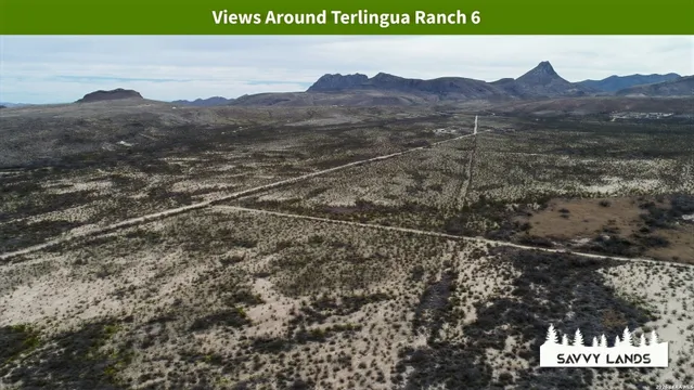 $16,999 | 0 Willow Canyon Road, Alpine, TX 79830