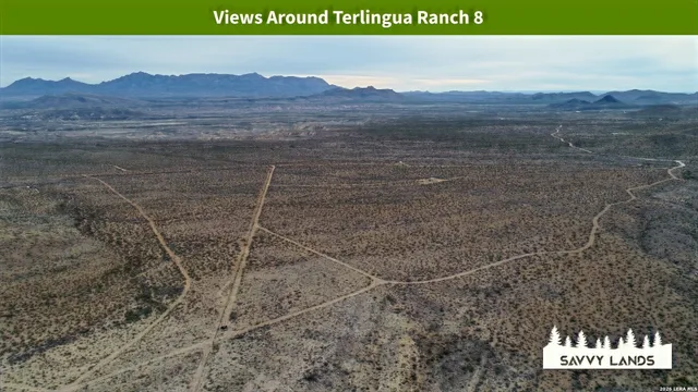 $16,999 | 0 Willow Canyon Road, Alpine, TX 79830