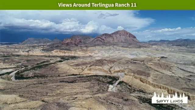 a view of swimming pool with a yard