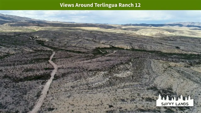 $16,999 | 0 Willow Canyon Road, Alpine, TX 79830