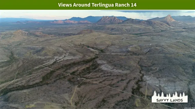 $16,999 | 0 Willow Canyon Road, Alpine, TX 79830