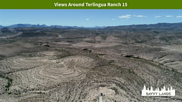 $16,999 | 0 Willow Canyon Road, Alpine, TX 79830