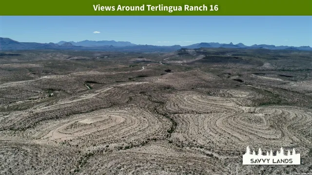 $16,999 | 0 Willow Canyon Road, Alpine, TX 79830