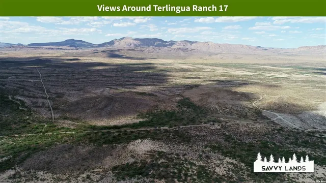 $16,999 | 0 Willow Canyon Road, Alpine, TX 79830