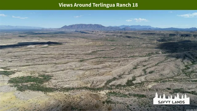 $16,999 | 0 Willow Canyon Road, Alpine, TX 79830