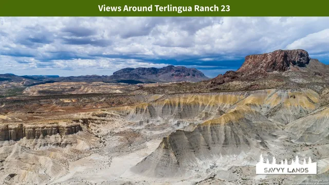 a view of a yard with mountain view
