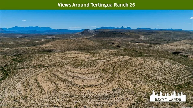 $16,999 | 0 Willow Canyon Road, Alpine, TX 79830