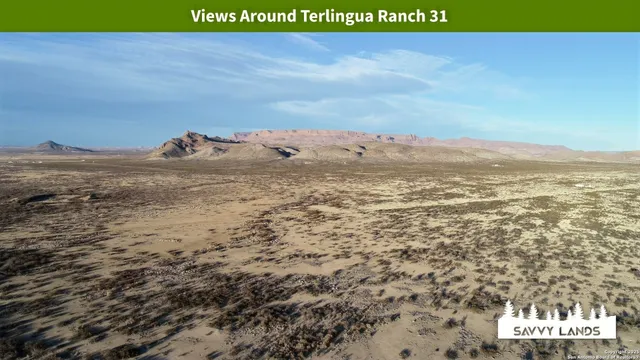 $16,999 | 0 Willow Canyon Road, Alpine, TX 79830