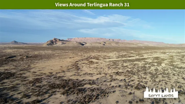 $16,999 | 0 Willow Canyon Road, Alpine, TX 79830