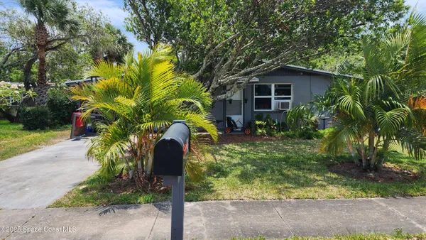 a view of a back yard with plants and trees