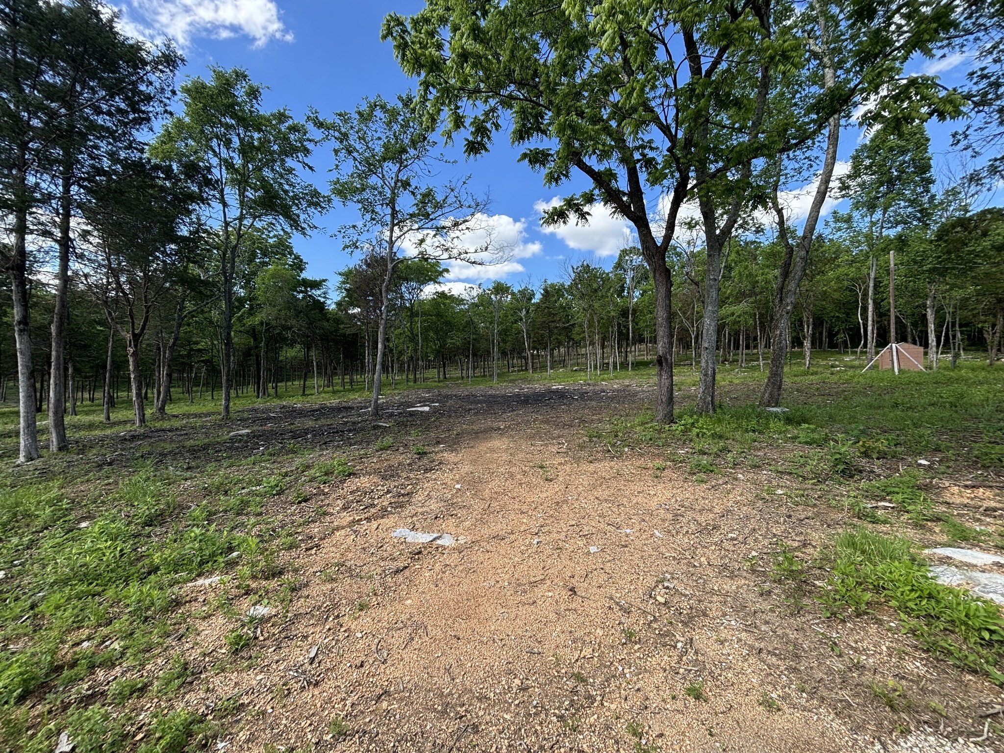 9205 Bowles Road Rockvale, TN 37153 - Photo 15 of 54 Gallery Image 15