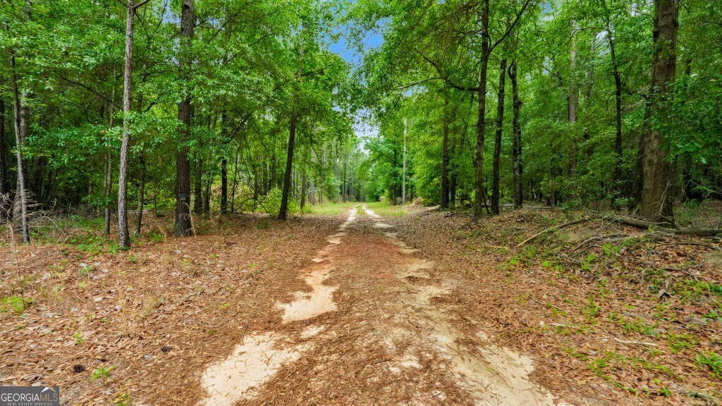 0 River Road Waynesboro, GA 30830 - Photo 26 of 37