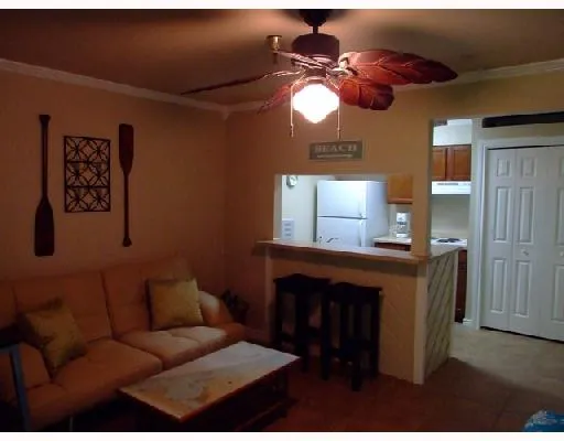 a living room with furniture a window and a fireplace