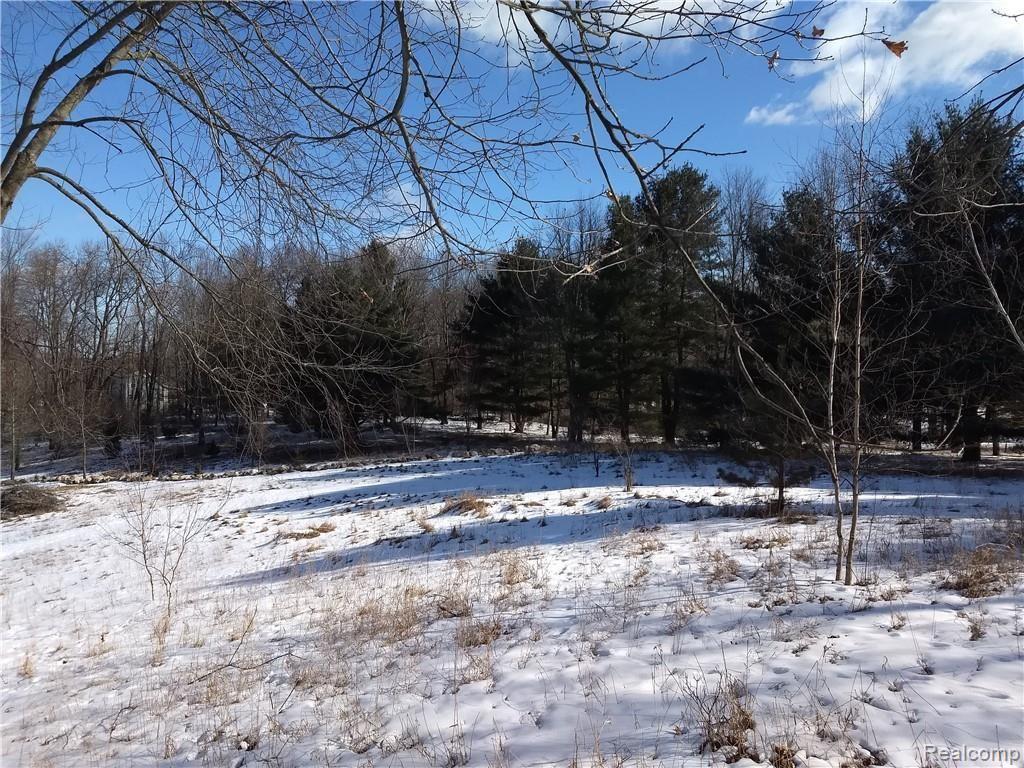 0 Smith Road Davison, MI 48423 - Photo 17 of 20 IMG_20190306_100231064_BURST000_COVER.jpg