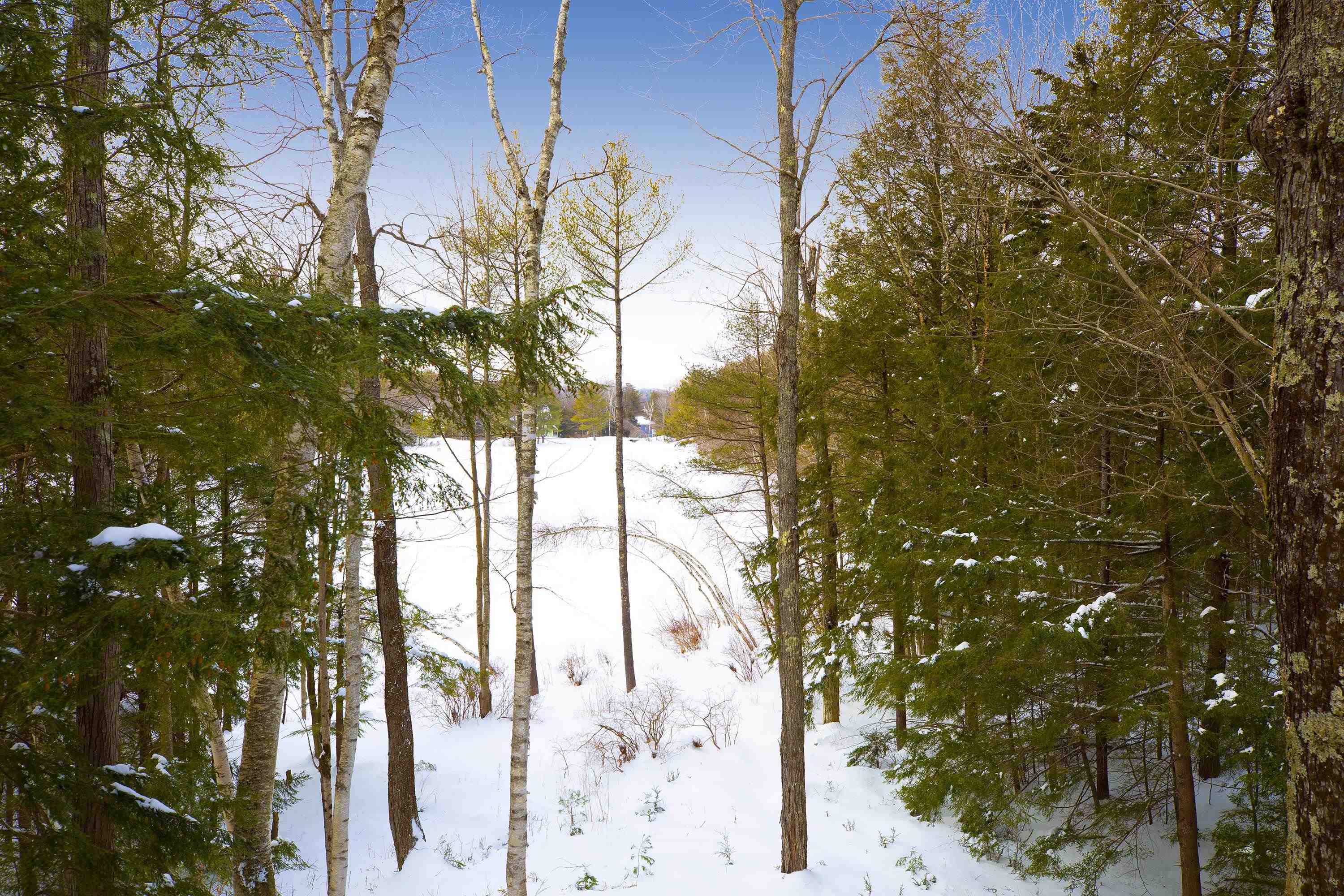 39 South Cove Road New London, NH 03257 - Photo 4 of 37 Gallery Image 4