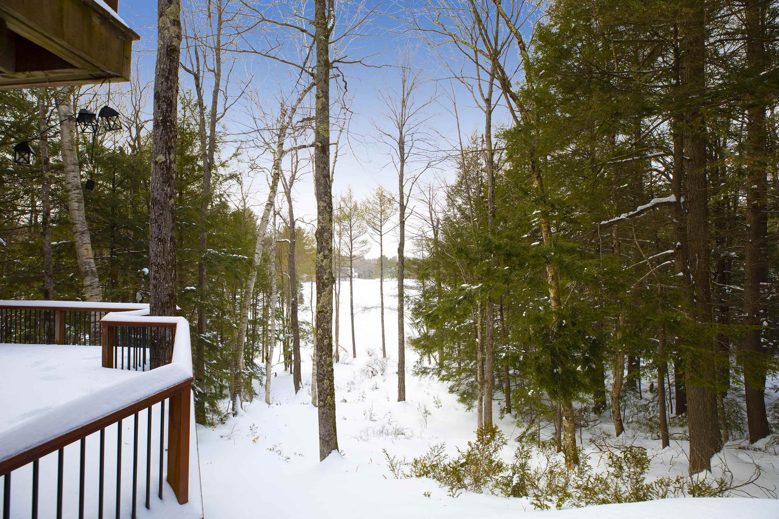 39 South Cove Road New London, NH 03257 - Photo 7 of 37 Gallery Image 7