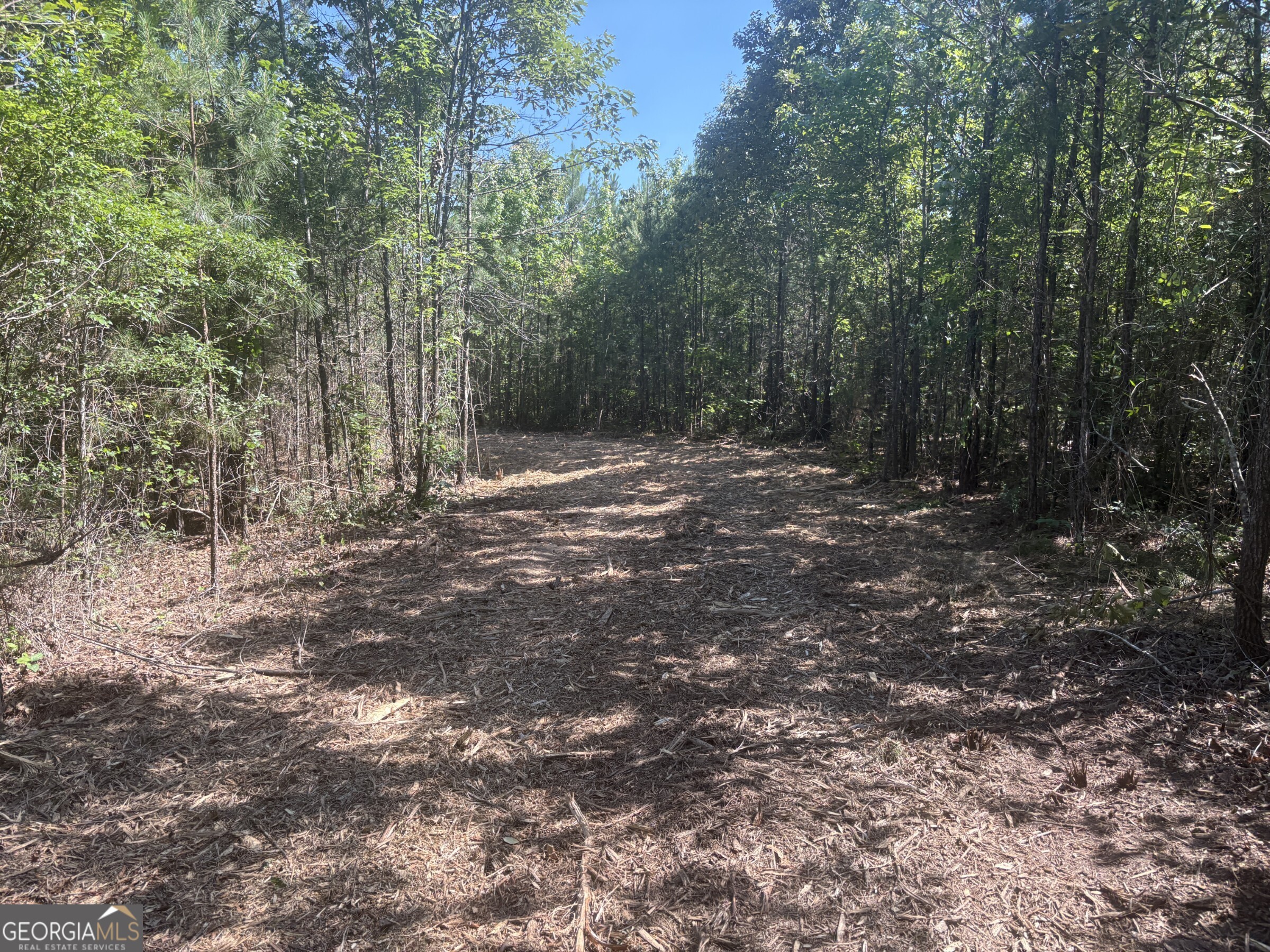L4 Prosser Road Sandersville, GA 31082 - Photo 7 of 10
