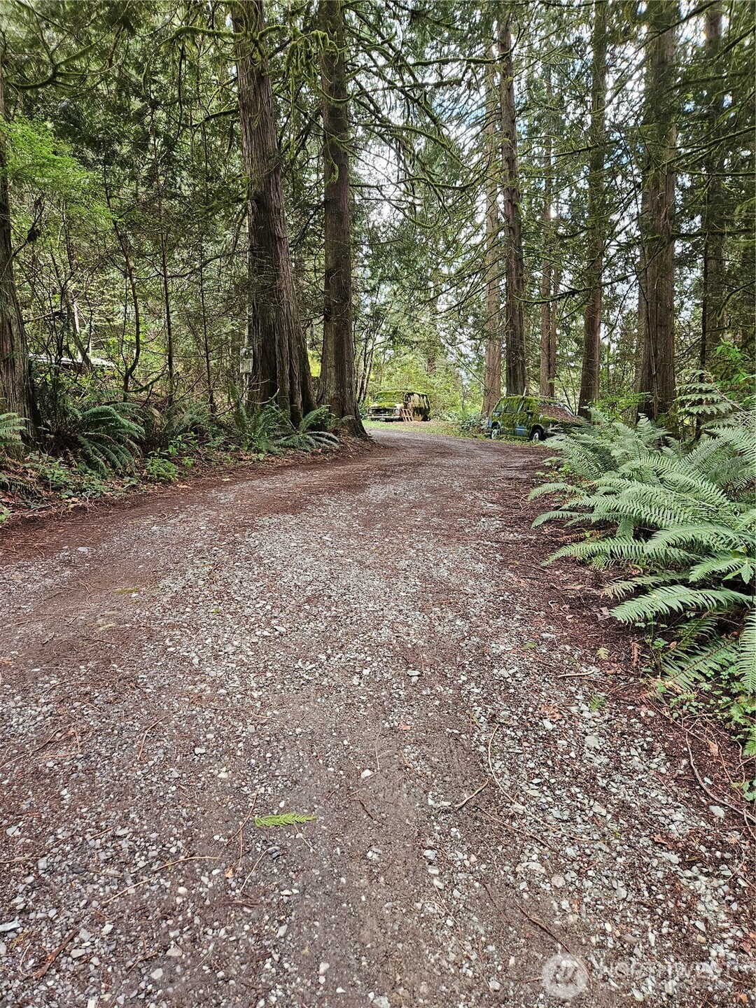 2085 Butler Creek Road Sedro-Woolley, WA 98284 - Photo 6 of 38 Gallery Image 6