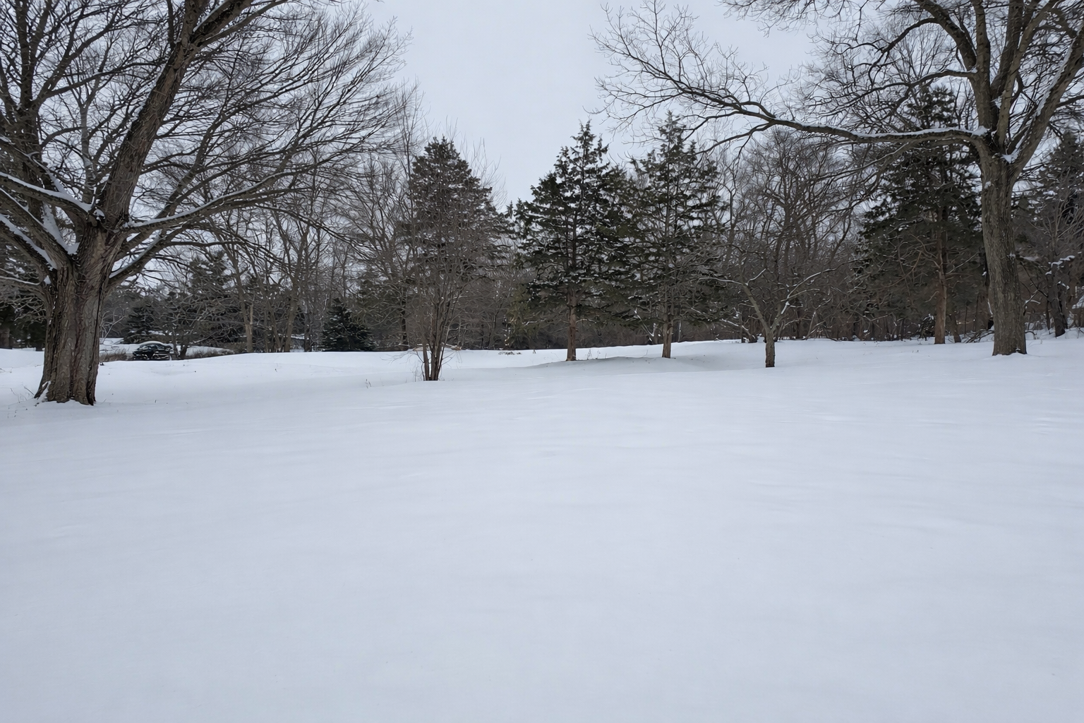 14709 Glendale Road Minnetonka, MN 55345 - Photo 4 of 4