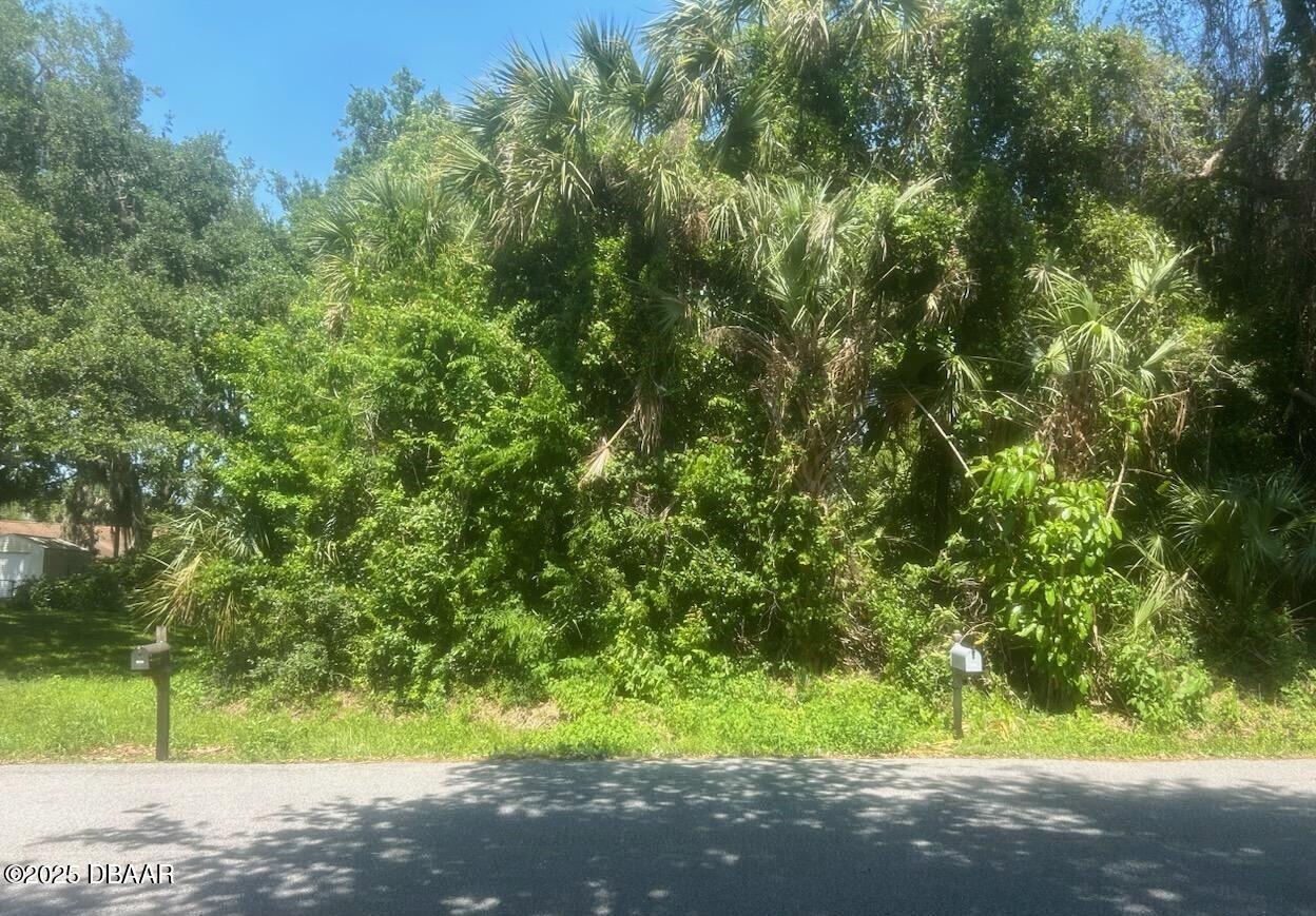 0 Orange Tree Drive Edgewater, FL 32141 - Photo 2 of 5 a backyard of a house with a tree