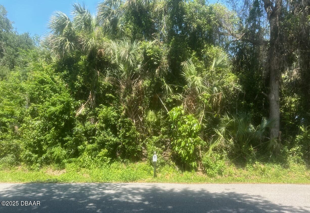 0 Orange Tree Drive Edgewater, FL 32141 - Photo 3 of 5 a view of a yard