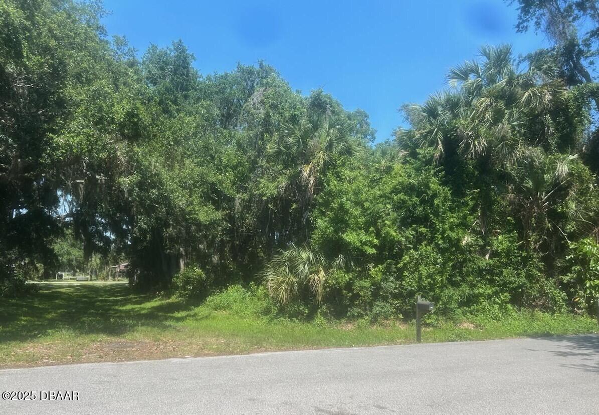 0 Orange Tree Drive Edgewater, FL 32141 - Photo 5 of 5 a view of a yard