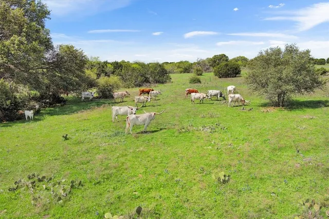 a view of yard with green space