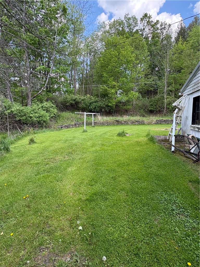 1524 Thurber Road Caton, NY 14830 - Photo 3 of 15