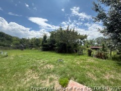 4199 Munsey Road Fayetteville, NC 28306 - Photo 5 of 15