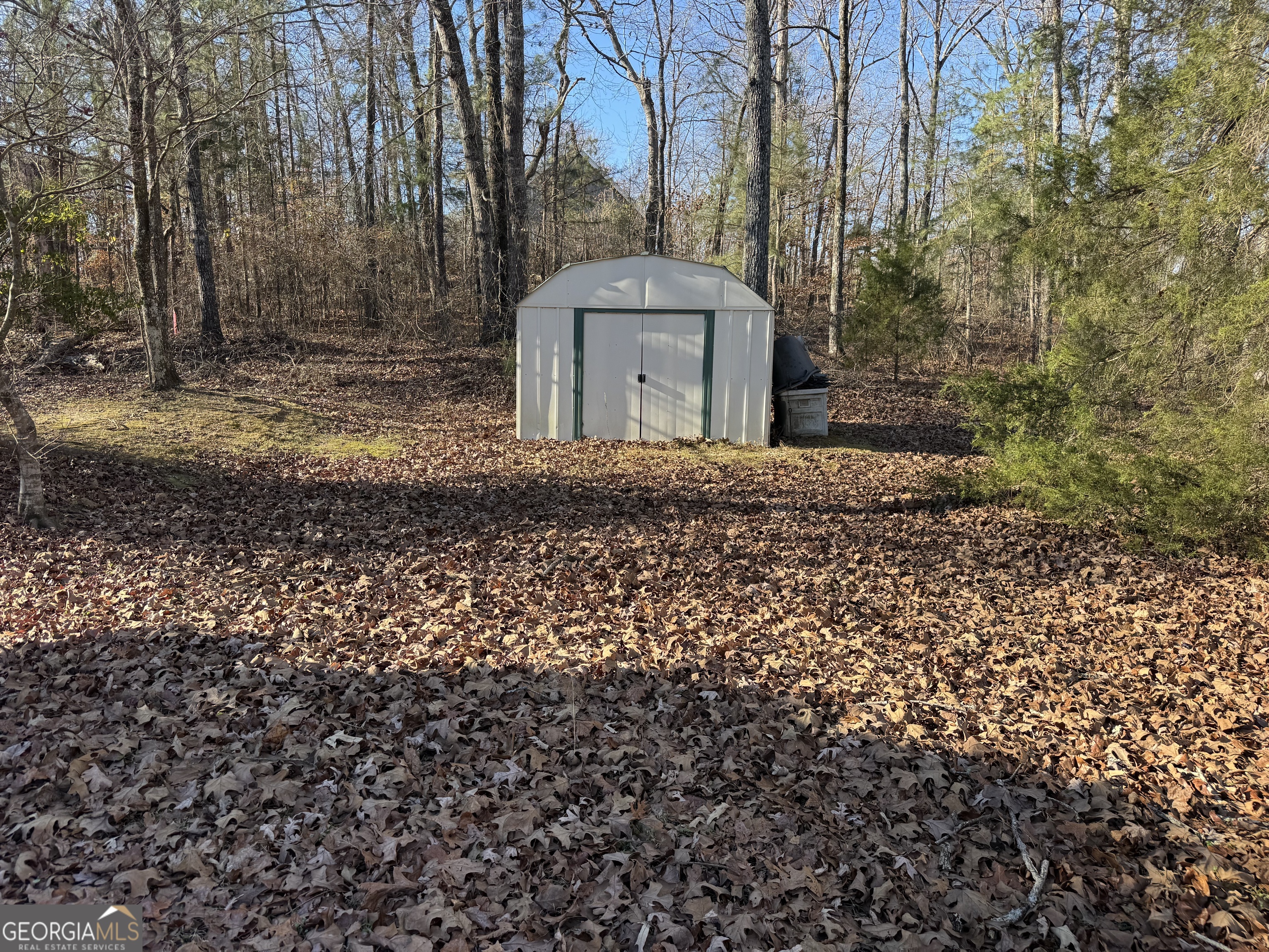 824 Old 5 Notch Road Whitesburg, GA 30185 - Photo 9 of 10